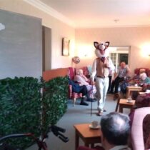 Evendine Activities Evendine Activities