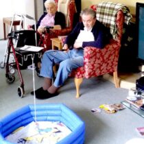 Evendine Activities Evendine Activities