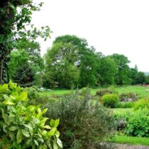 Evendine Grounds Evendine Grounds