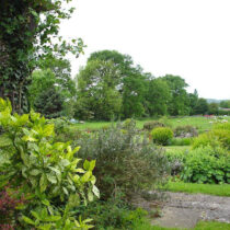 Evendine Grounds Evendine Grounds