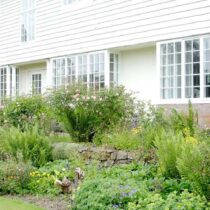 Evendine Grounds Evendine Grounds